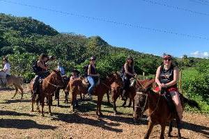 Trinidad Horses